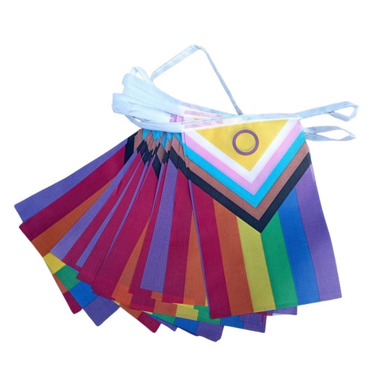 Inclusive Progress Pride Flag Bunting