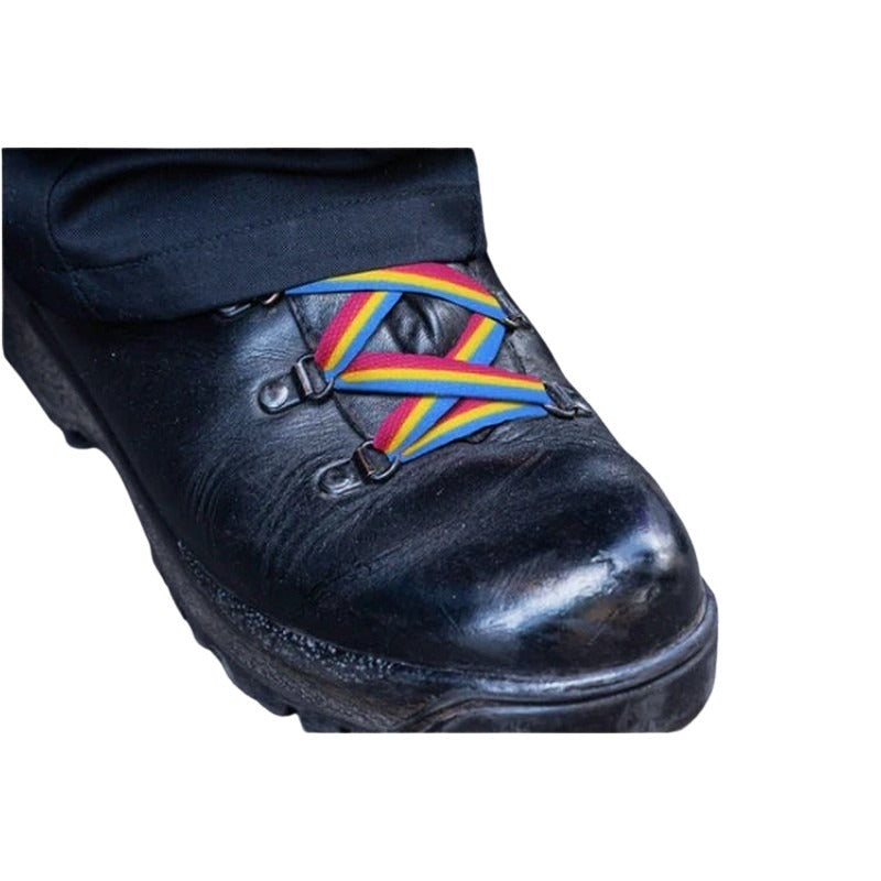 Pride Shoe Laces: Pansexual Flag Striped